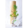 Plant d'arbre en tube bois