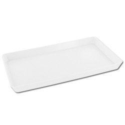 Mini plateau 25x15x2 cm