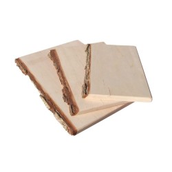 Planche bark midi