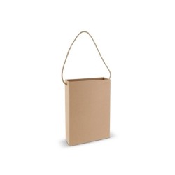 Sac en carton 24x32x8cm