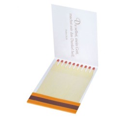Pochette 10 allumettes