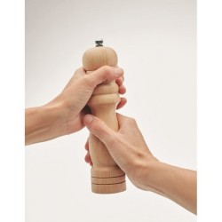 Set salière et moulin à poivre