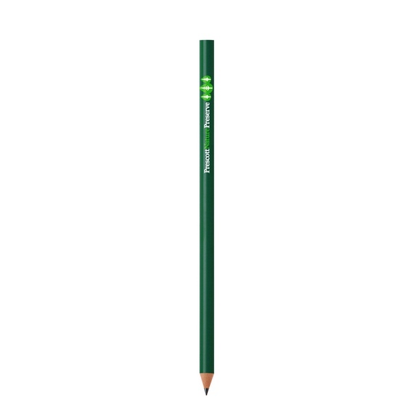 Evolution crayon 7 × 175 × 7 mm BIC