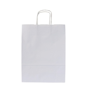 Sac papier blanc anses torsadées 240 × 320 × 110 mm, vue 4