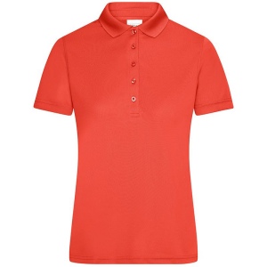 Polo technique, vue 2