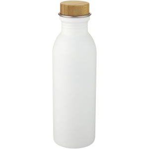 Bouteille de sport 650 ml en acier inoxydable