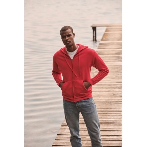 Sweat-shirt homme zippé capuche (62-062-0), vue 2