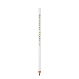 Evolution crayon 7 × 175 × 7 mm BIC, vue 2
