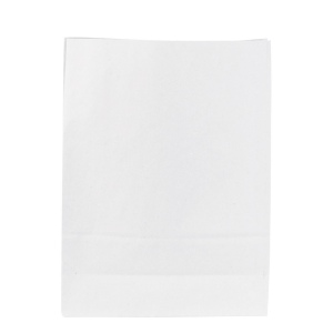 Sac papier blanc sans anses 250 × 320 × 100 mm, vue 4