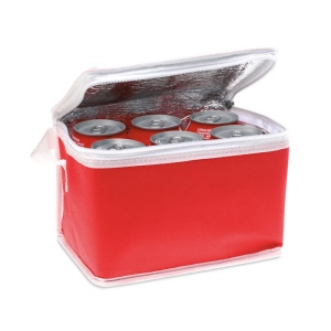 Sac iso pour 6 cannettes, vue 2