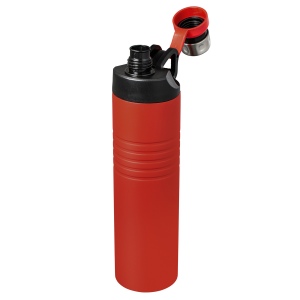 Bouteille isotherme 300 × 87 × 87 mm, vue 2