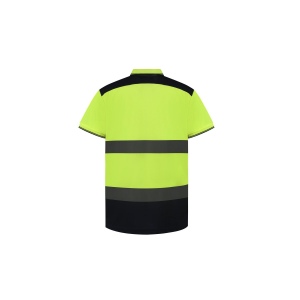Polo bicolore