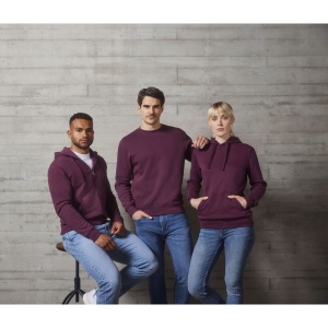 Sweat zippé homme capuche, vue 2