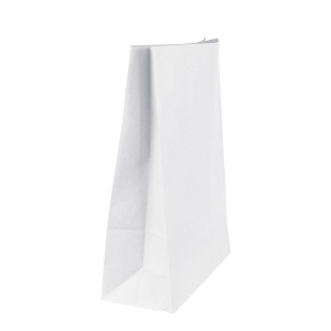 Sac papier blanc sans anses 250 × 320 × 100 mm, vue 2