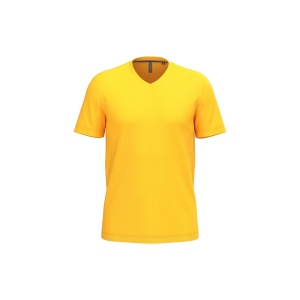 T-shirt col V manches courtes homme, vue 7